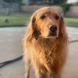 Meet your Posher, Angie